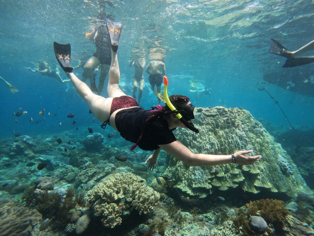 Snorkeling Package At Nusa Penida Mas Bali Transport